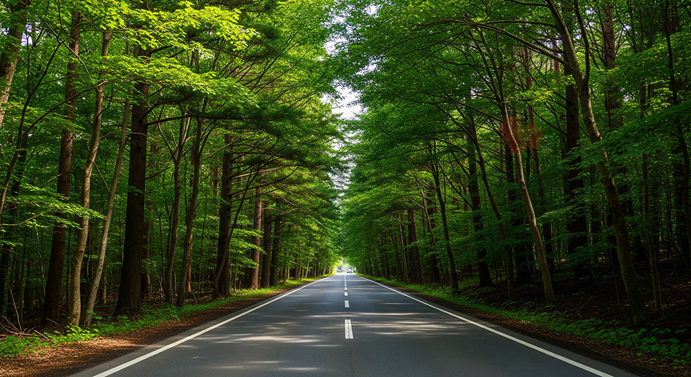 フリー素材 無料 写真｜森を縫うように続く日本の細い道路 資料にも使いやすい俯瞰の自然風景｜Webデザインの挿し絵に便利