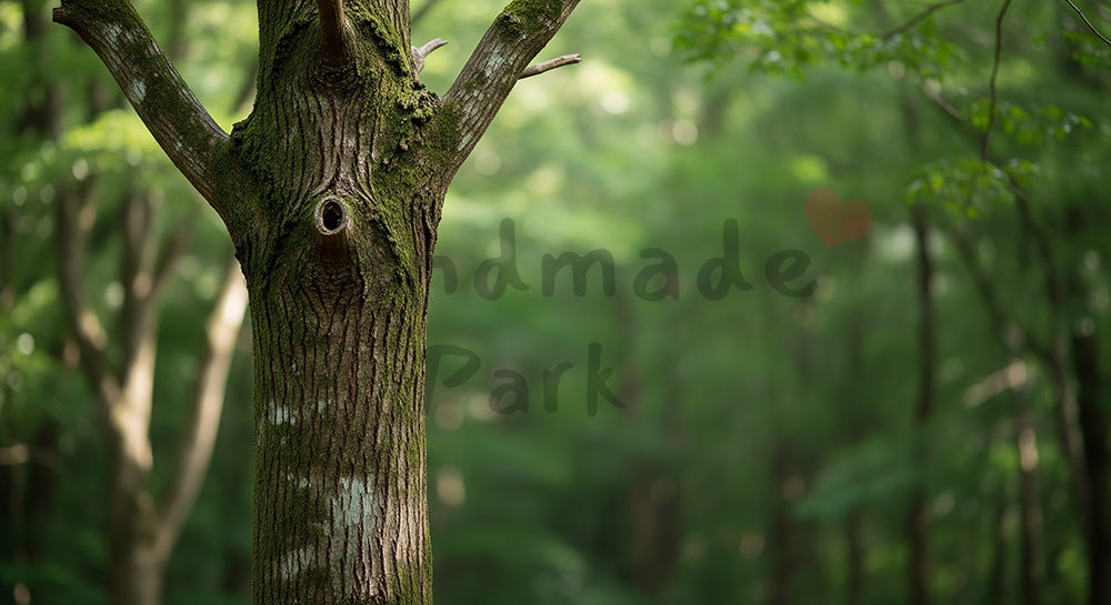 フリー素材 無料 写真｜日本の一本の木の幹を主役にした日本の森 シンプルで使いやすい背景向け素材｜資料・LPの背景に使いやすい