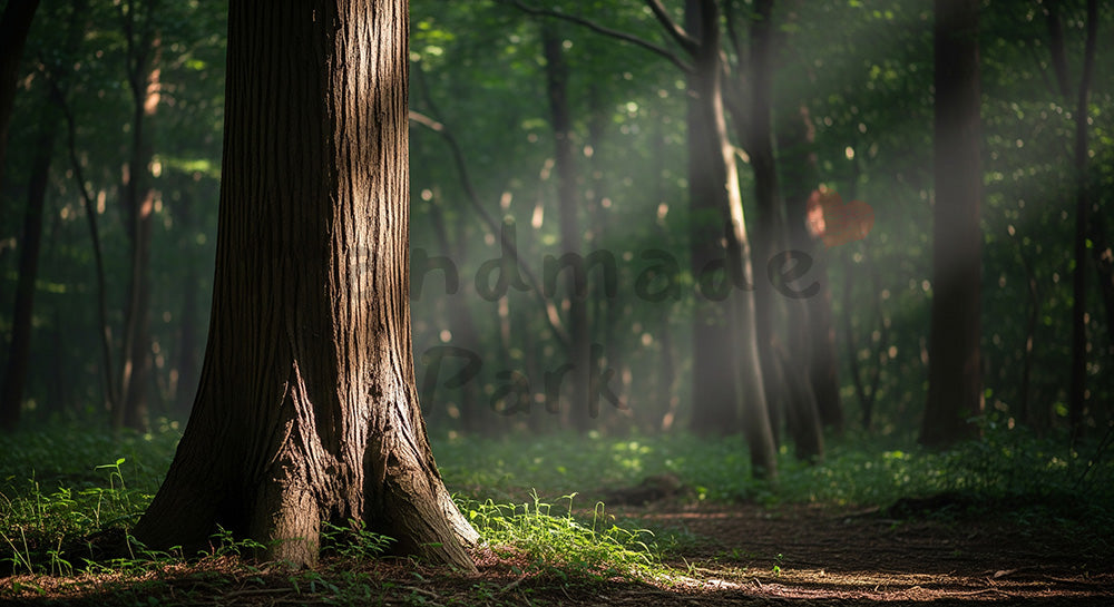 フリー素材 無料 写真｜一本の木の幹を主役にした日本の森 シンプルで使いやすい背景向け素材｜Webデザインの挿し絵に便利